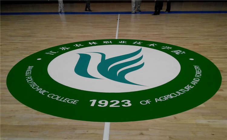 拼接板體育館實(shí)木地板板式龍骨結(jié)構(gòu)