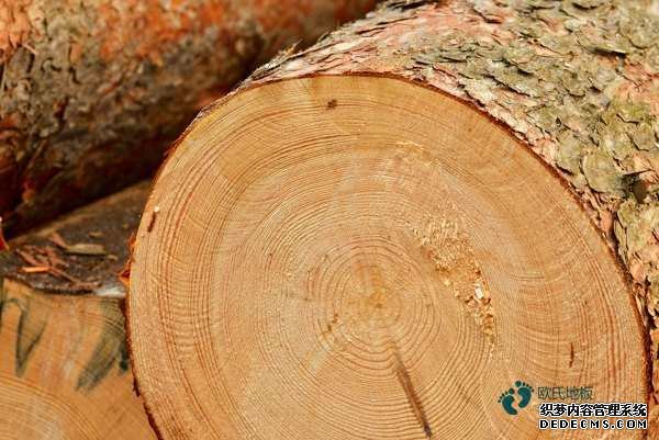 場(chǎng)館籃球地板報(bào)價(jià)